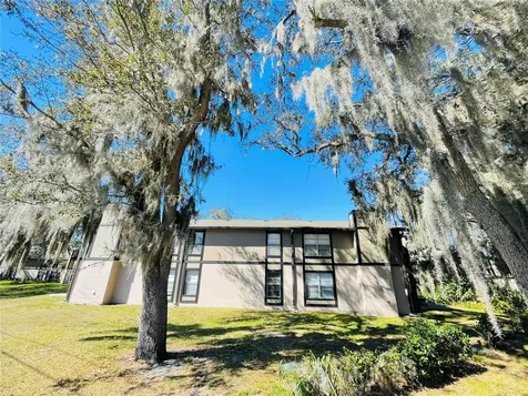4034 Dream Oak Place Tampa FL 33613