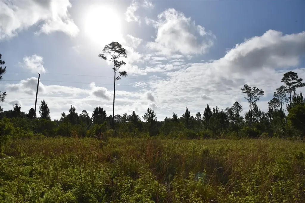 22370 NE 130th Avenue Fort Mc Coy FL 32134