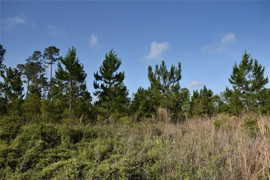22370 NE 130th Avenue Fort Mc Coy FL 32134