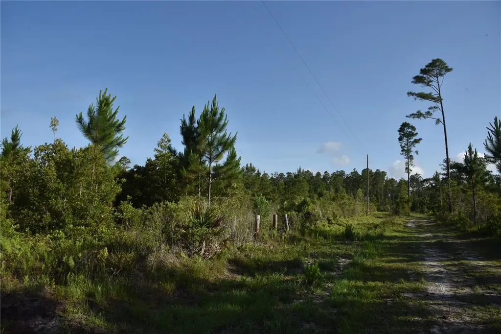 22370 NE 130th Avenue Fort Mc Coy FL 32134
