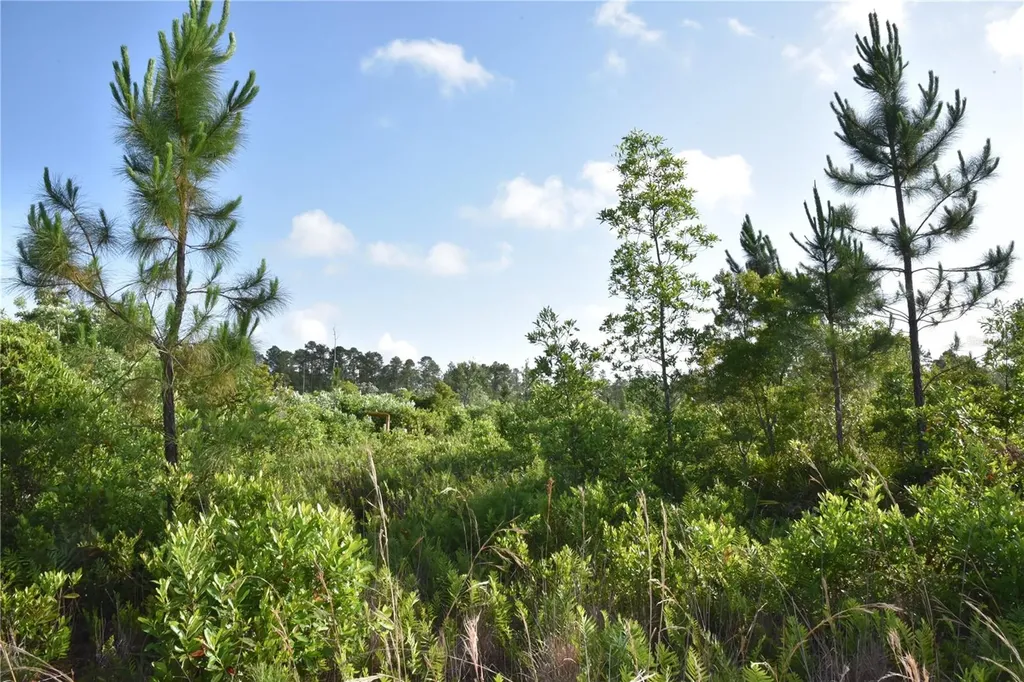 22370 NE 130th Avenue Fort Mc Coy FL 32134