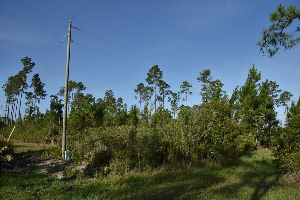 22370 NE 130th Avenue Fort Mc Coy FL 32134