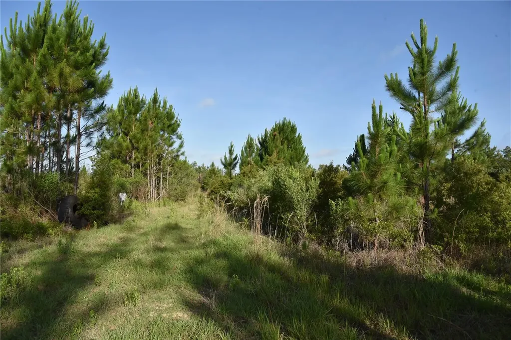 22370 NE 130th Avenue Fort Mc Coy FL 32134