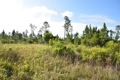 22370 NE 130th Avenue Fort Mc Coy FL 32134