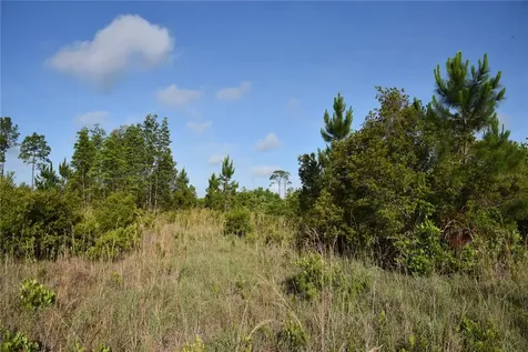 22370 NE 130th Avenue Fort Mc Coy FL 32134