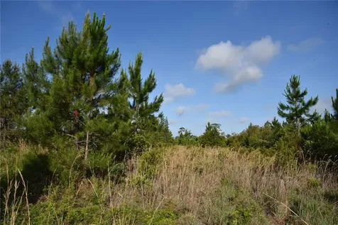 22370 NE 130th Avenue Fort Mc Coy FL 32134