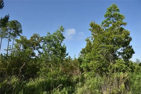 22370 NE 130th Avenue Fort Mc Coy FL 32134