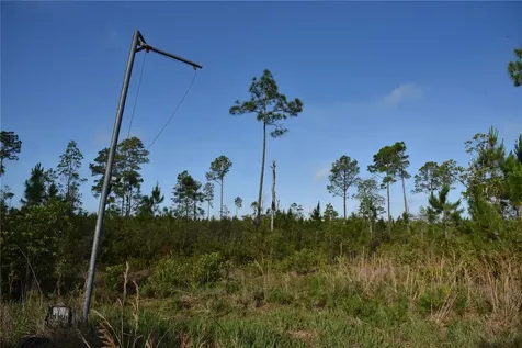 22370 NE 130th Avenue Fort Mc Coy FL 32134