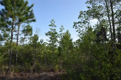 22370 NE 130th Avenue Fort Mc Coy FL 32134