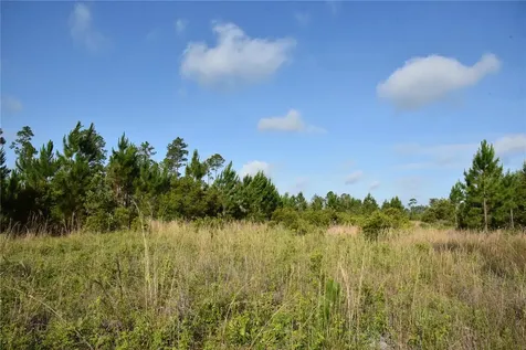 22370 NE 130th Avenue Fort Mc Coy FL 32134