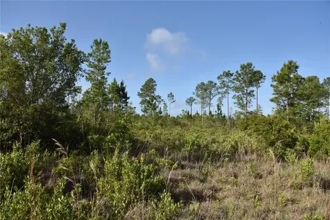 22370 NE 130th Avenue Fort Mc Coy FL 32134