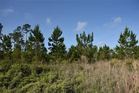 22370 NE 130th Avenue Fort Mc Coy FL 32134