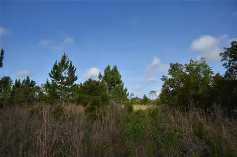 22370 NE 130th Avenue Fort Mc Coy FL 32134