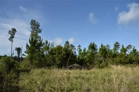 22370 NE 130th Avenue Fort Mc Coy FL 32134