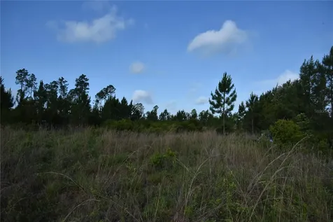 22370 NE 130th Avenue Fort Mc Coy FL 32134