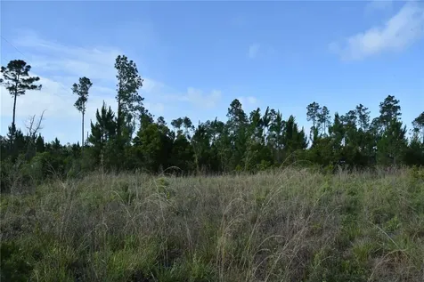 22370 NE 130th Avenue Fort Mc Coy FL 32134