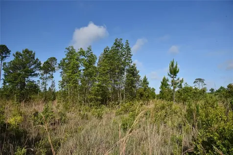 22370 NE 130th Avenue Fort Mc Coy FL 32134
