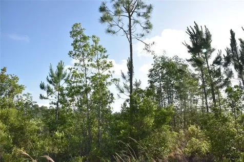 22370 NE 130th Avenue Fort Mc Coy FL 32134