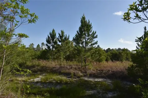 22370 NE 130th Avenue Fort Mc Coy FL 32134