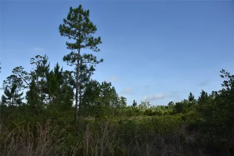 22370 NE 130th Avenue Fort Mc Coy FL 32134
