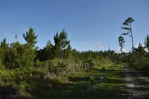 22370 NE 130th Avenue Fort Mc Coy FL 32134