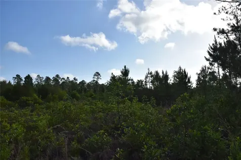 22370 NE 130th Avenue Fort Mc Coy FL 32134