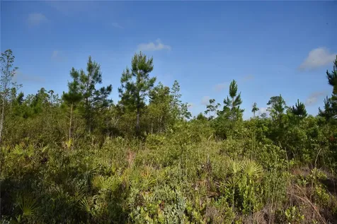 22370 NE 130th Avenue Fort Mc Coy FL 32134