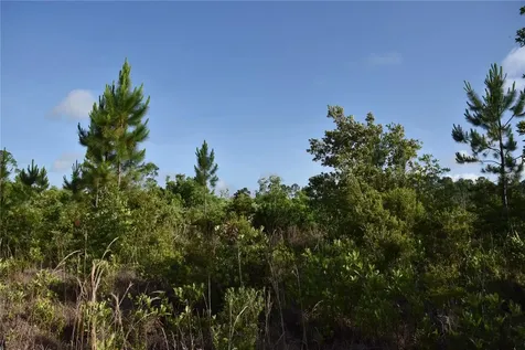 22370 NE 130th Avenue Fort Mc Coy FL 32134