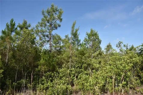 22370 NE 130th Avenue Fort Mc Coy FL 32134