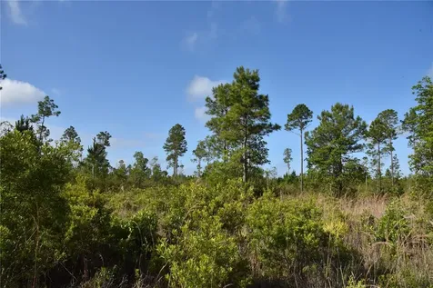 22370 NE 130th Avenue Fort Mc Coy FL 32134