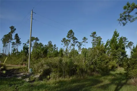 22370 NE 130th Avenue Fort Mc Coy FL 32134