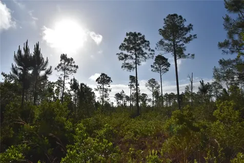 22370 NE 130th Avenue Fort Mc Coy FL 32134