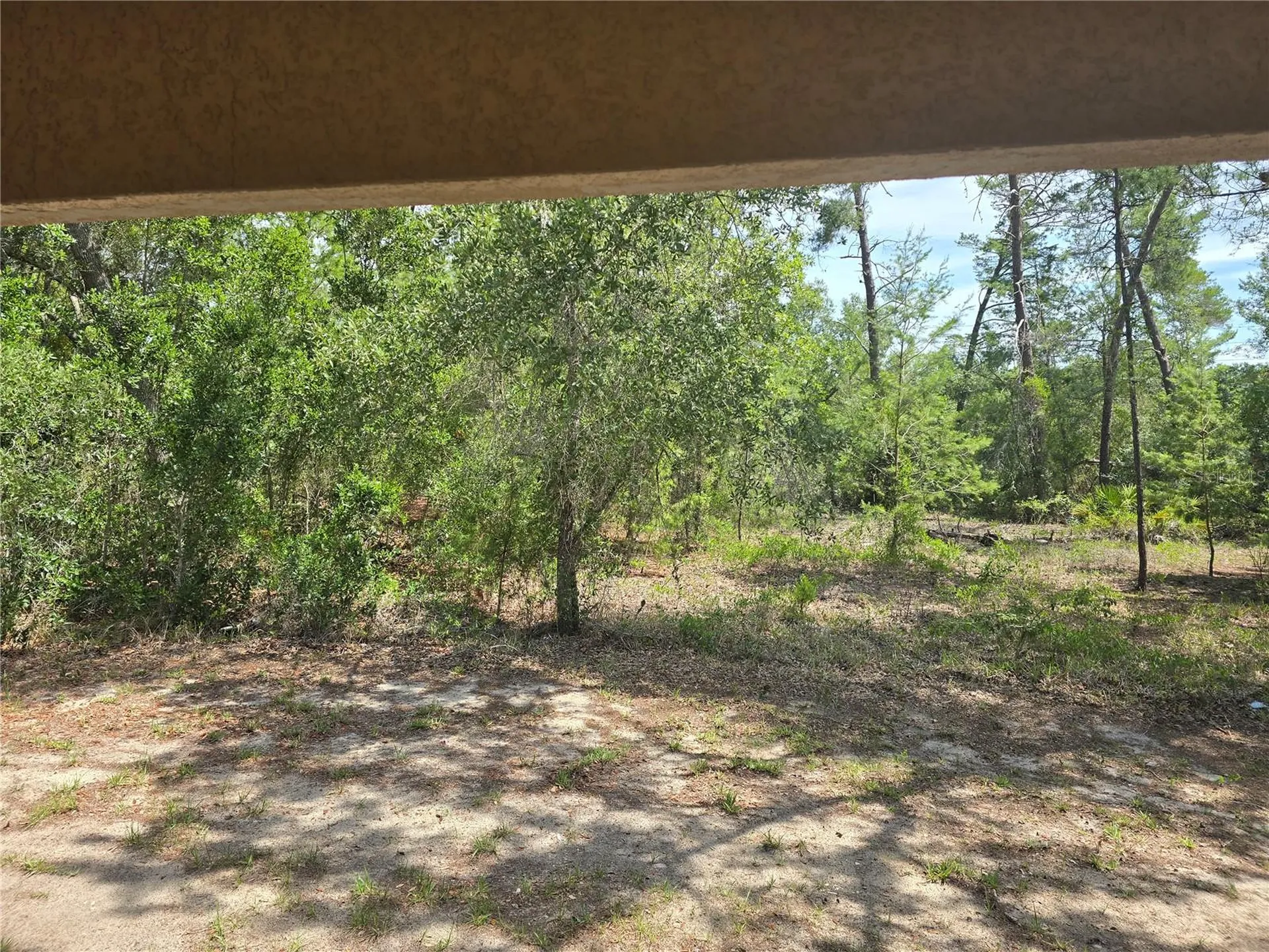 43 Matricaria Court Homosassa FL 34446