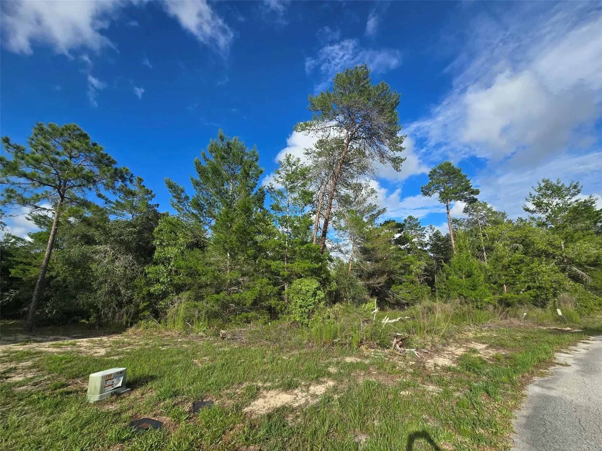 43 Matricaria Court Homosassa FL 34446