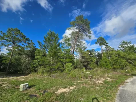 43 Matricaria Court Homosassa FL 34446