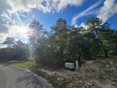 43 Matricaria Court Homosassa FL 34446