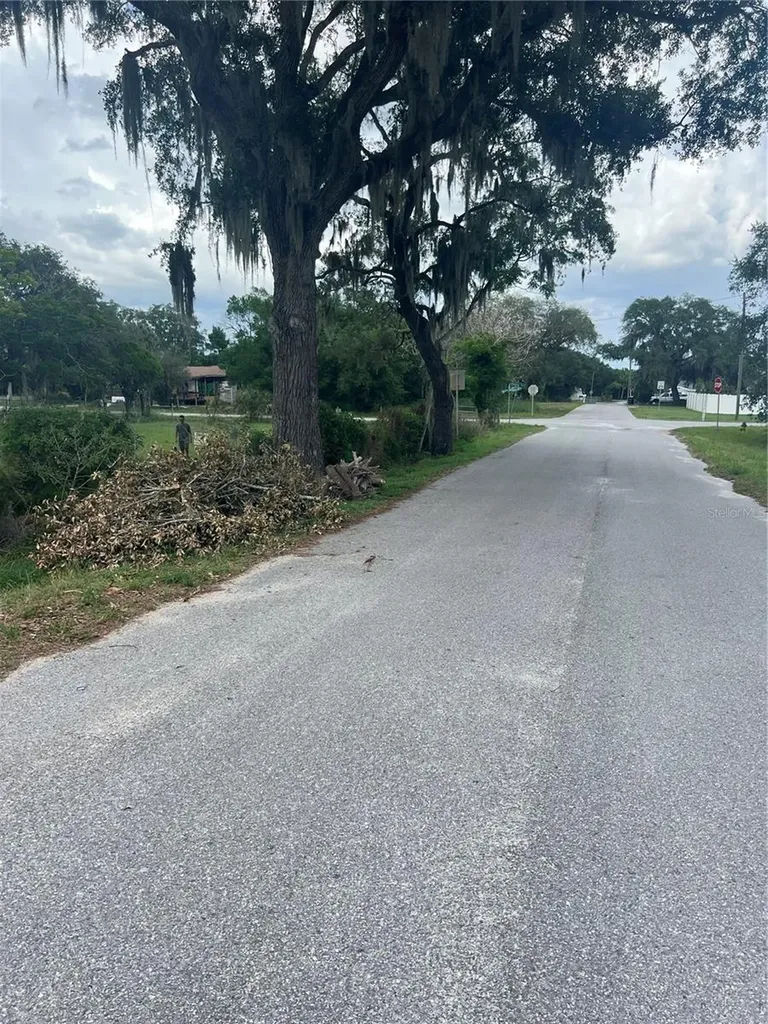 Shady Oak Avenue Lake Wales FL 33898