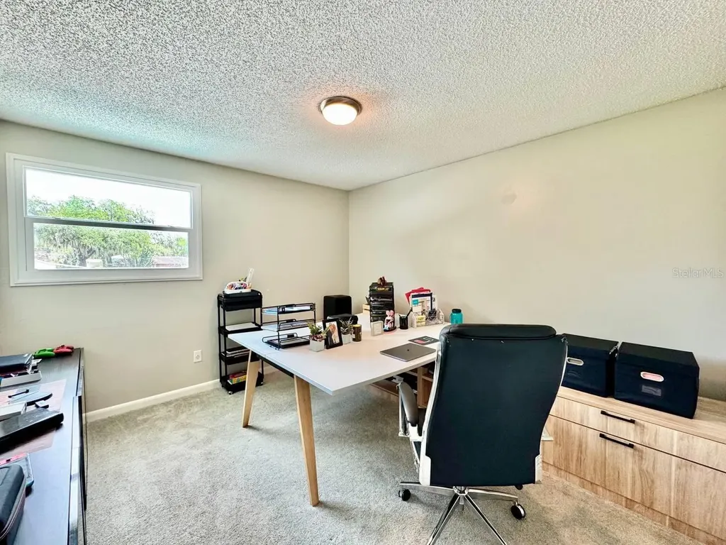 18200 Cypress Cove Lane Lutz FL 33549