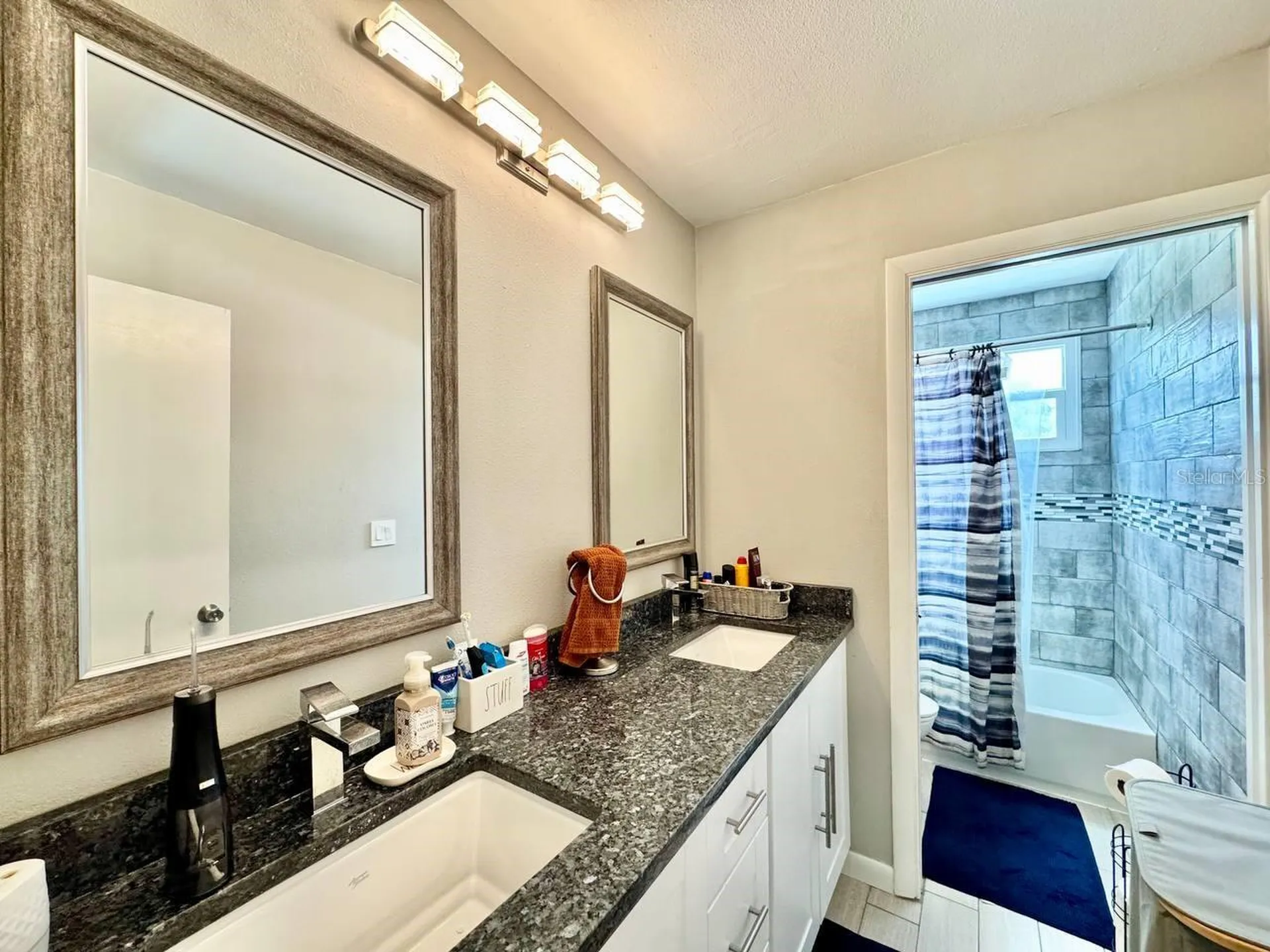 18200 Cypress Cove Lane Lutz FL 33549