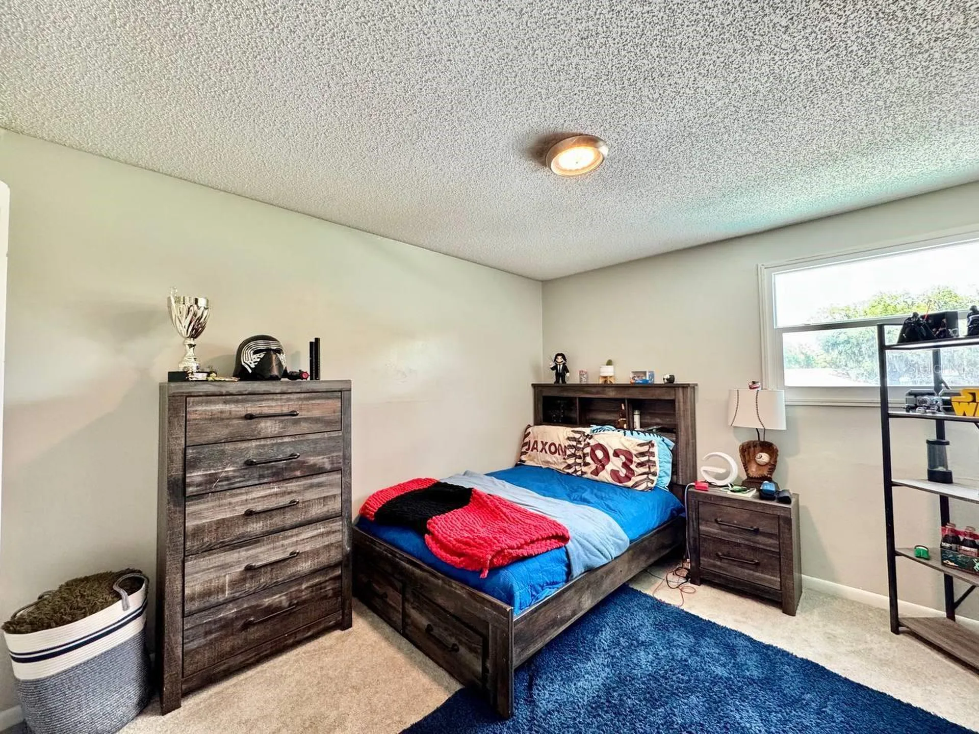 18200 Cypress Cove Lane Lutz FL 33549