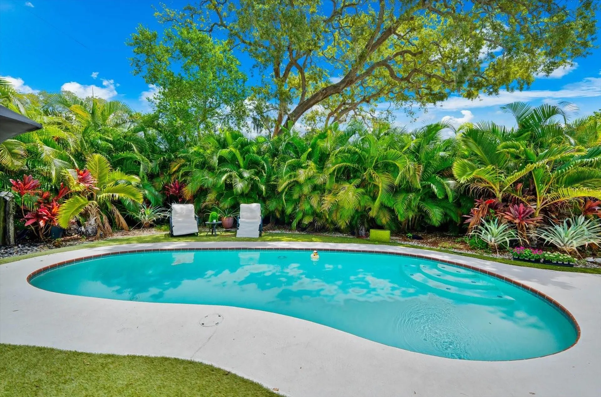 1144 Charles Street Clearwater FL 33755