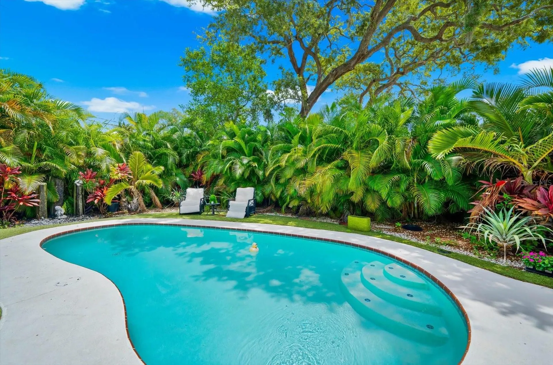 1144 Charles Street Clearwater FL 33755