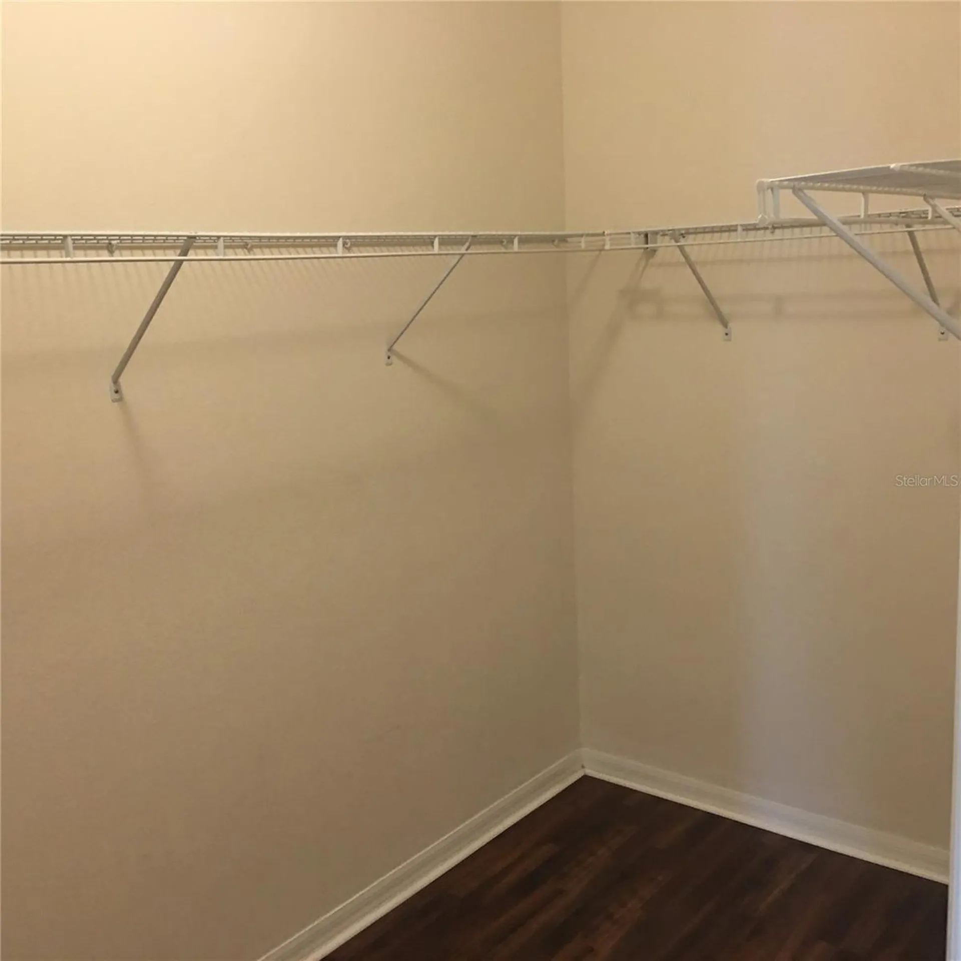18047 Java Isle Drive Tampa FL 33647