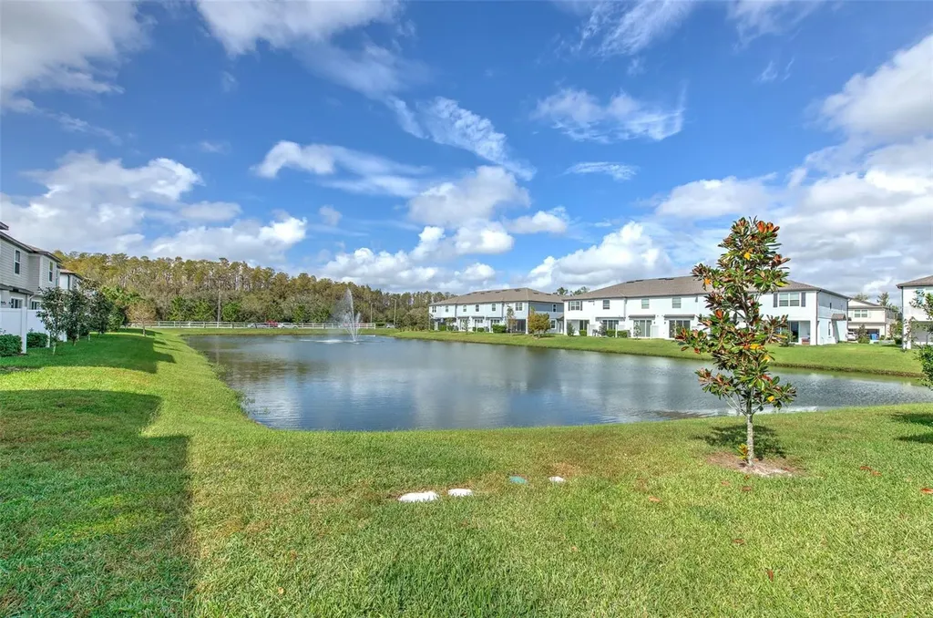 2899 Deer Pine Trail Land O Lakes FL 34638