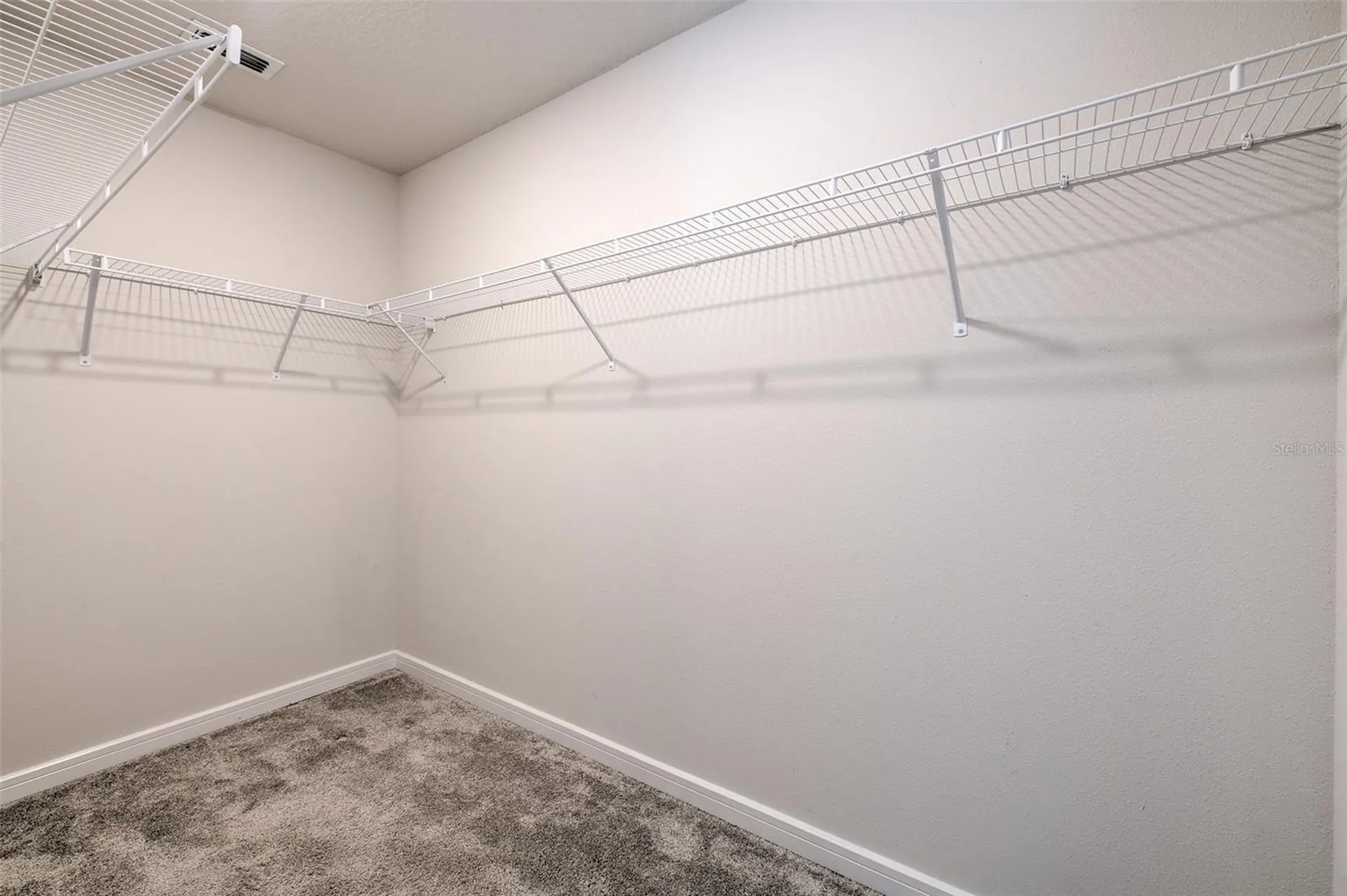 2899 Deer Pine Trail Land O Lakes FL 34638