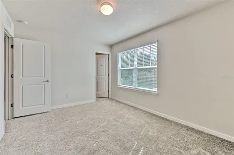 2899 Deer Pine Trail Land O Lakes FL 34638