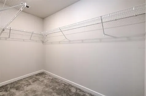 2899 Deer Pine Trail Land O Lakes FL 34638