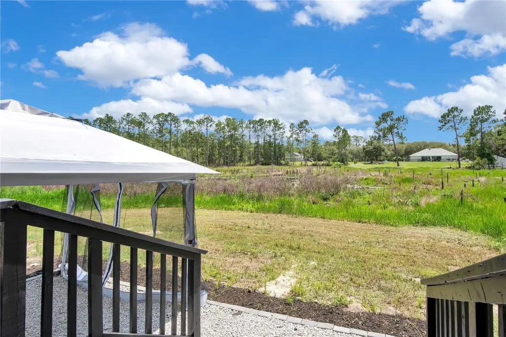 42111 Chinaberry Court Eustis FL 32736