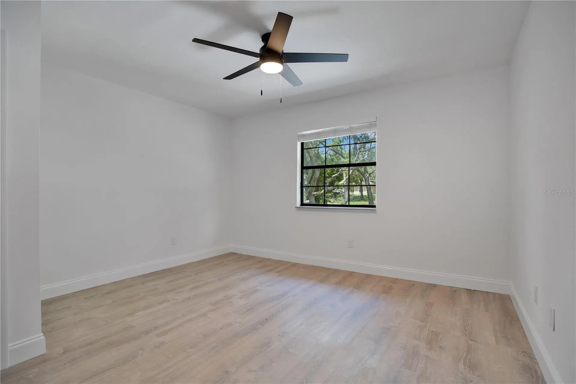 42111 Chinaberry Court Eustis FL 32736