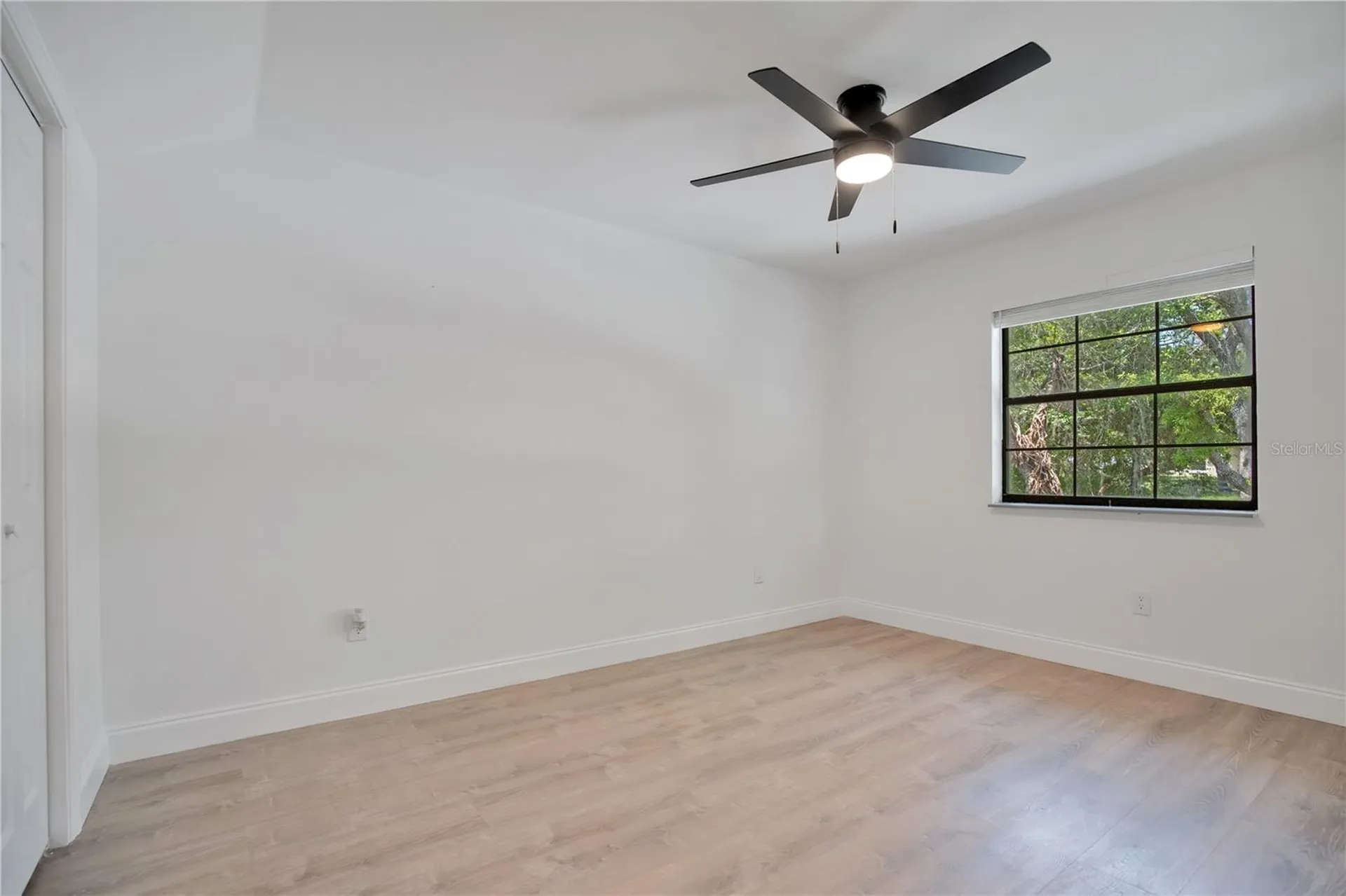 42111 Chinaberry Court Eustis FL 32736